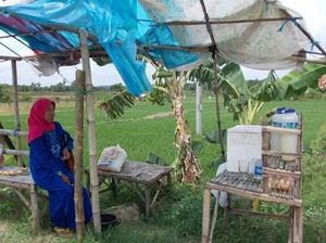Berburu Minuman Legendaris khas Gresik, Tidak Bikin Mabuk