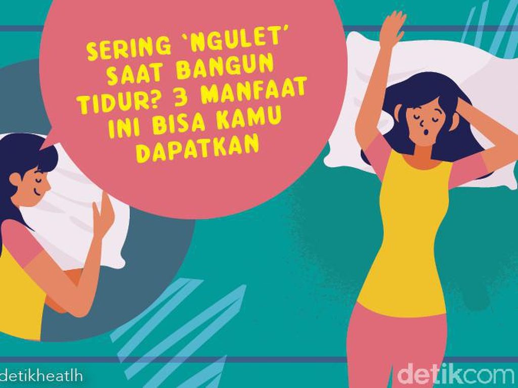 Kebiasaan Ngulet Saat Bangun Tidur Ada Manfaatnya Lho! Cek di Sini Kebiasaan Ngulet Saat Bangun Tidur Ada Manfaatnya Lho! Cek di Sini