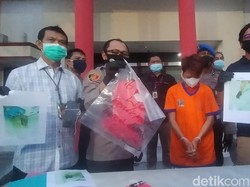 Polisi Tangkap Pembunuh Terapis yang Mayatnya Ditemukan Dalam Kardus