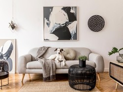 Mau Membeli Sofa? Hati-hati dengan 5 Warna Ini