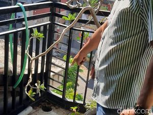 Seorang Kades di Mojokerto Tewas Tersetrum Saat Perbaiki Antena Wi-Fi