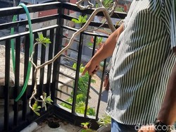 Seorang Kades di Mojokerto Tewas Tersetrum Saat Perbaiki Antena Wi-Fi