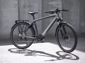 Triumph Bikin Sepeda Listrik Mulai Rp 53 Jutaan, Mau?