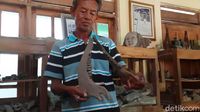 Penampakan Fosil Koleksi Warga Sragen
