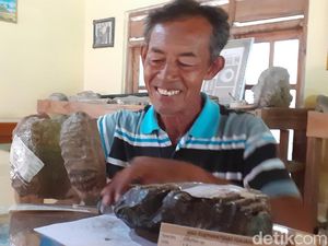 Koleksi Ribuan Fosil Selama 45 Tahun, Pria Sragen Ini Sempat Dikira Gila