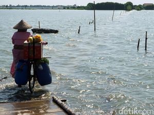 Potret Banjir Rob yang Rendam Permukiman di Demak