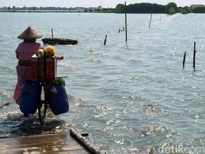 Potret Banjir Rob yang Rendam Permukiman di Demak