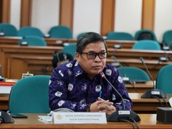 Reposisi Areal Eks-PLG sebagai Kawasan Pangan Terpadu Berkelanjutan