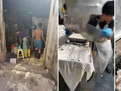 Jijik Banget! Pabrik Tahu Ini Penuh Kecoak dan Kotoran Tikus