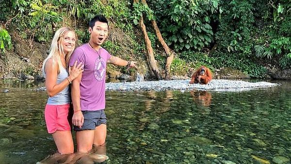 2 Bulan Terdampar di Rumah Orang Utan, Pasangan Turis Ini Happy 2 Bulan Terdampar di Rumah Orang Utan, Pasangan Turis Ini Happy