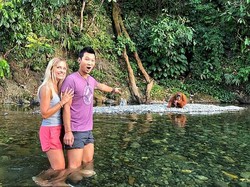 Kisah Turis Inggris Terjebak 2 Bulan di Rumah Orang Utan Bukit Lawang