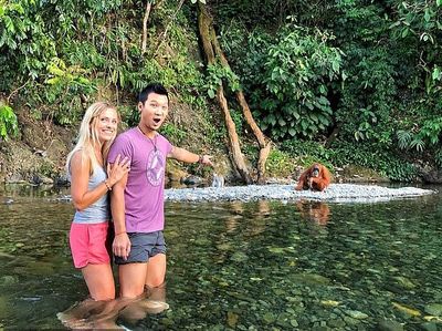 2 Bulan Terdampar di Rumah Orang Utan, Pasangan Turis Ini Happy