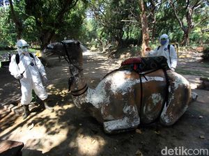 Siap Dibuka, Solo Zoo Terapkan Protokol Kesehatan di Era New Normal