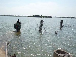 Sudah 3 Bulan, Jalan Keluar Masuk Permukiman di Demak Ini Terendam Rob