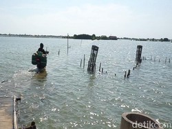Sudah 3 Bulan, Jalan Keluar Masuk Permukiman di Demak Ini Terendam Rob
