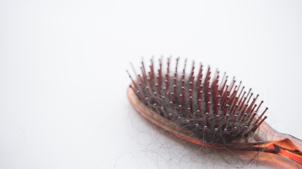 Sebagian sisir yang memiliki sikat rapat cenderung menyebabkan rambut menjadi lebih rapuh dan mudah rontok.