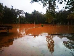 Tanggul Sungai Jebol, Puluhan Rumah-Sawah di Ciamis Terendam Banjir