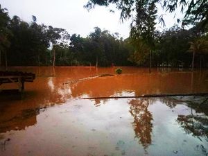 Tanggul Sungai Jebol, Puluhan Rumah-Sawah di Ciamis Terendam Banjir Tanggul Sungai Jebol, Puluhan Rumah-Sawah di Ciamis Terendam Banjir