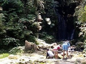 Mau ke Destinasi Wisata Ramah Anak, Datang Saja ke Cibodas