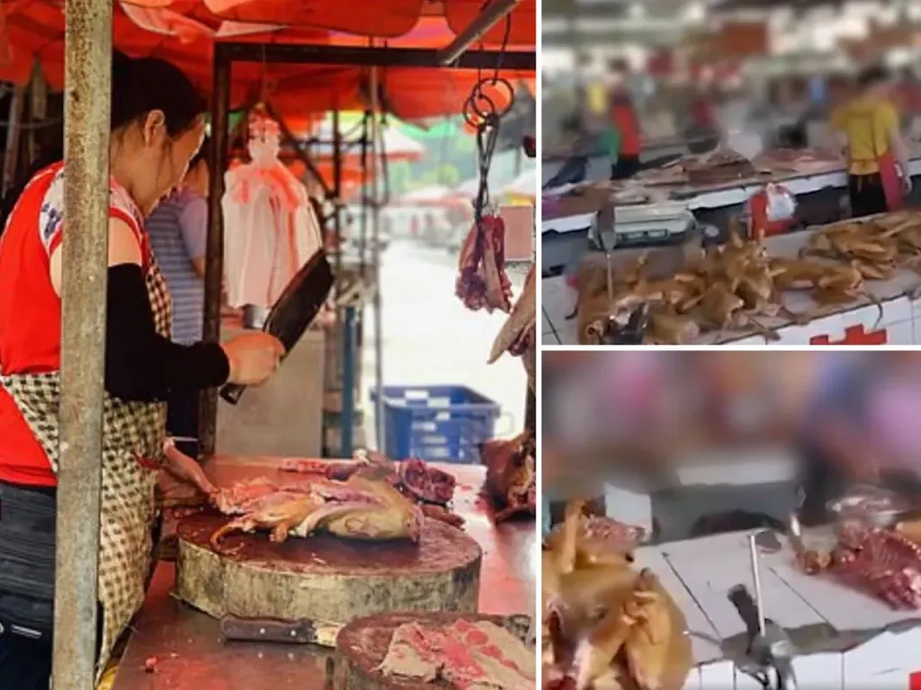 Dikecam Keras, Pasar Tradisional di Yulin Masih Jual Daging Anjing