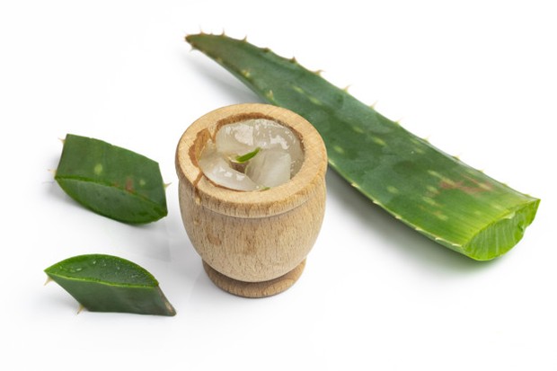 Lidah Buaya/Freepik.com Bahan Alami Untuk Menebalkan Bulu Mata