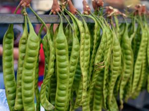 5 Artis Tanah Air yang Doyan Makan Pete dan Jengkol