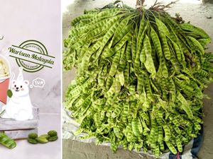 Mau Cicip? Ada Es Krim Rasa Petai yang Unik dan Eksotik