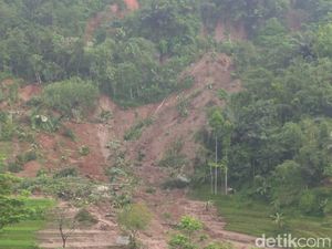 Bukit Longsor Terjang Sawah dan Irigasi di Tasikmalaya