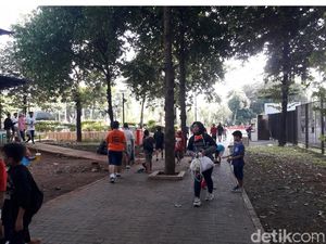 Ada Anak-anak Masuk Kompleks GBK, Ini Kata Pengelola