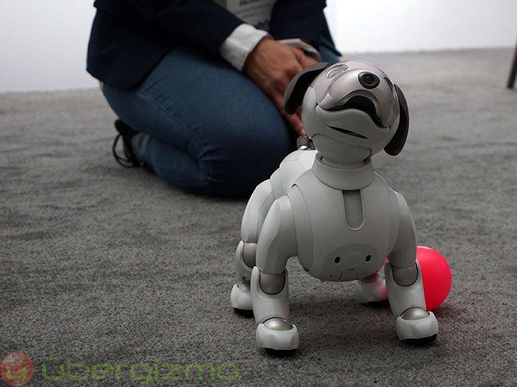 Robot Anjing Milik Sony Bisa Sambut Tuannya di Depan Pintu
