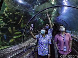 Aturan di Tempat Wisata Saat Nataru: Kapasitas 50%, Diterapkan Ganjil-Genap