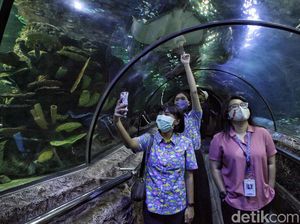 Aturan di Tempat Wisata Saat Nataru: Kapasitas 50%, Diterapkan Ganjil-Genap