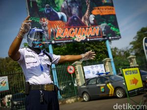 Selama New Normal, Ragunan Larang Wisatawan Interaksi dengan Satwa