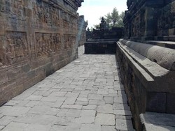 Merapi Erupsi Lagi, BKB Bersihkan Abu di Candi Borobudur