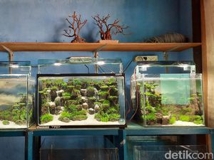 Miniatur Air Terjun, Buah Tangan dari Barang Bekas yang Luar Biasa