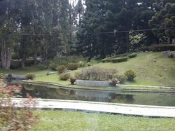 Liburan Murah Meriah di Cibodas