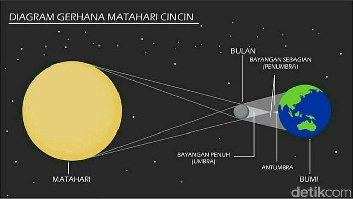 Melihat gerhana