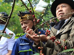 Menkop UKM Sebut Sektor Pertanian-Perkebunan Bisa Diberi Relaksasi