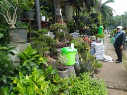 Pandemi COVID-19, Pedagang Tanaman di Sekitar Ragunan Tetap Ramai Pembeli