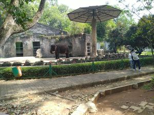 Pengunjung Ragunan Sedikit, Pengelola: Yang Penting Protokol Kesehatan