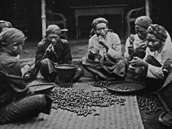 Rahasia Bikin Nasi Goreng Enak hingga Kebun Kopi Pertama di Indonesia