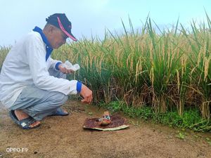Melihat Kenduri Nasi Santan Sambut Panen Raya Suku Lembak di Bengkulu