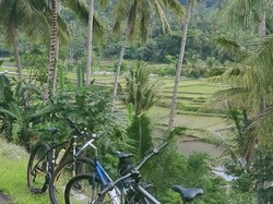 Kamu yang Suka Naik Sepeda, Sudah Pernah ke Nanggulan?