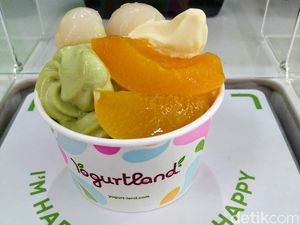Serunya Jajan Yoghurt Enak yang Bisa Diracik Sesuai Selera Serunya Jajan Yoghurt Enak yang Bisa Diracik Sesuai Selera