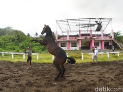 Kondisi Pacuan Kuda Venue PON 2016 Ini Sekarang Bikin Miris
