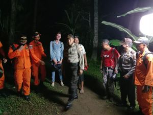 Kisah 2 Bule di Bali Nyasar ke Rimba Gegara Ikuti Aplikasi Peta