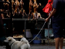 Festival Daging Anjing di China Kembali Digelar