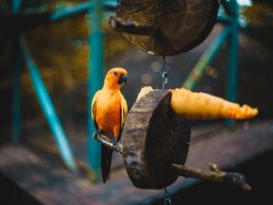 Serunya Berkunjung ke Gembira Loka Zoo Jogja