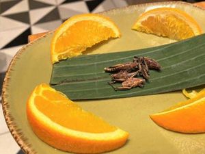 7 Makanan Teraneh yang Ada di Disney World, Belalang hingga Susu Biru