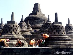 Petugas Bersihkan Abu Merapi dari Candi Borobudur